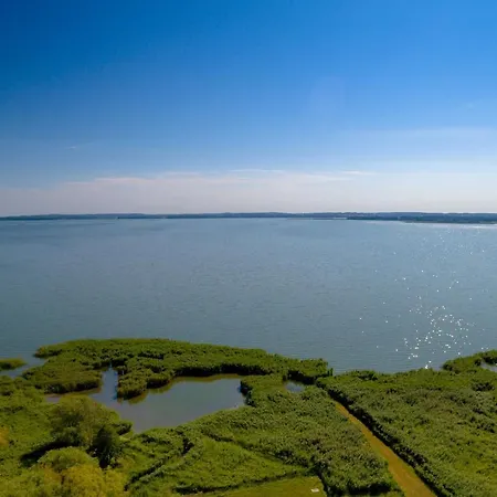 Blaukehlchen Lieper Winkel, Rankwitz *