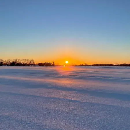 Blaukehlchen Lieper Winkel, Rankwitz *