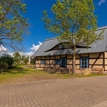 Blaukehlchen Lieper Winkel, Rankwitz * Grussow