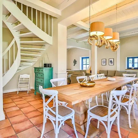 Blaukehlchen Lieper Winkel, Rankwitz