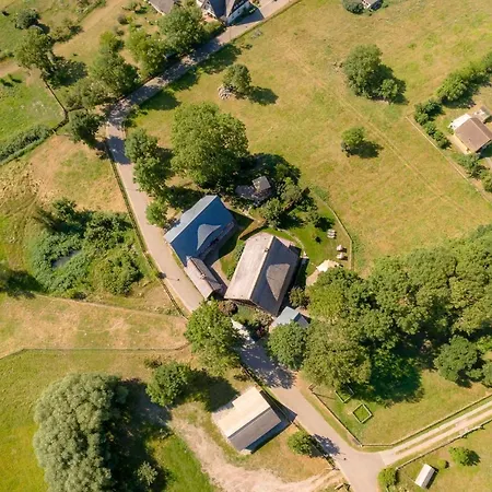 Blaukehlchen Lieper Winkel, Rankwitz * Grussow