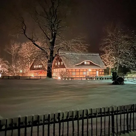Blaukehlchen Lieper Winkel, Rankwitz * Grussow