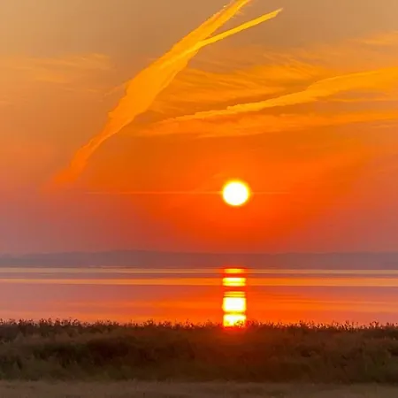 Blaukehlchen Lieper Winkel, Rankwitz Hébergement de vacances