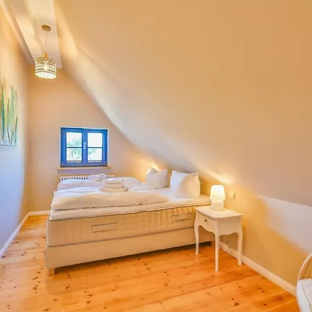 Blaukehlchen Lieper Winkel, Rankwitz *